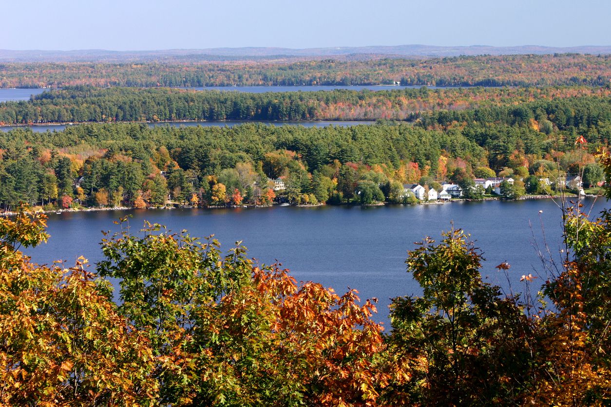 Aerial photo of autumn-colored trees along the water