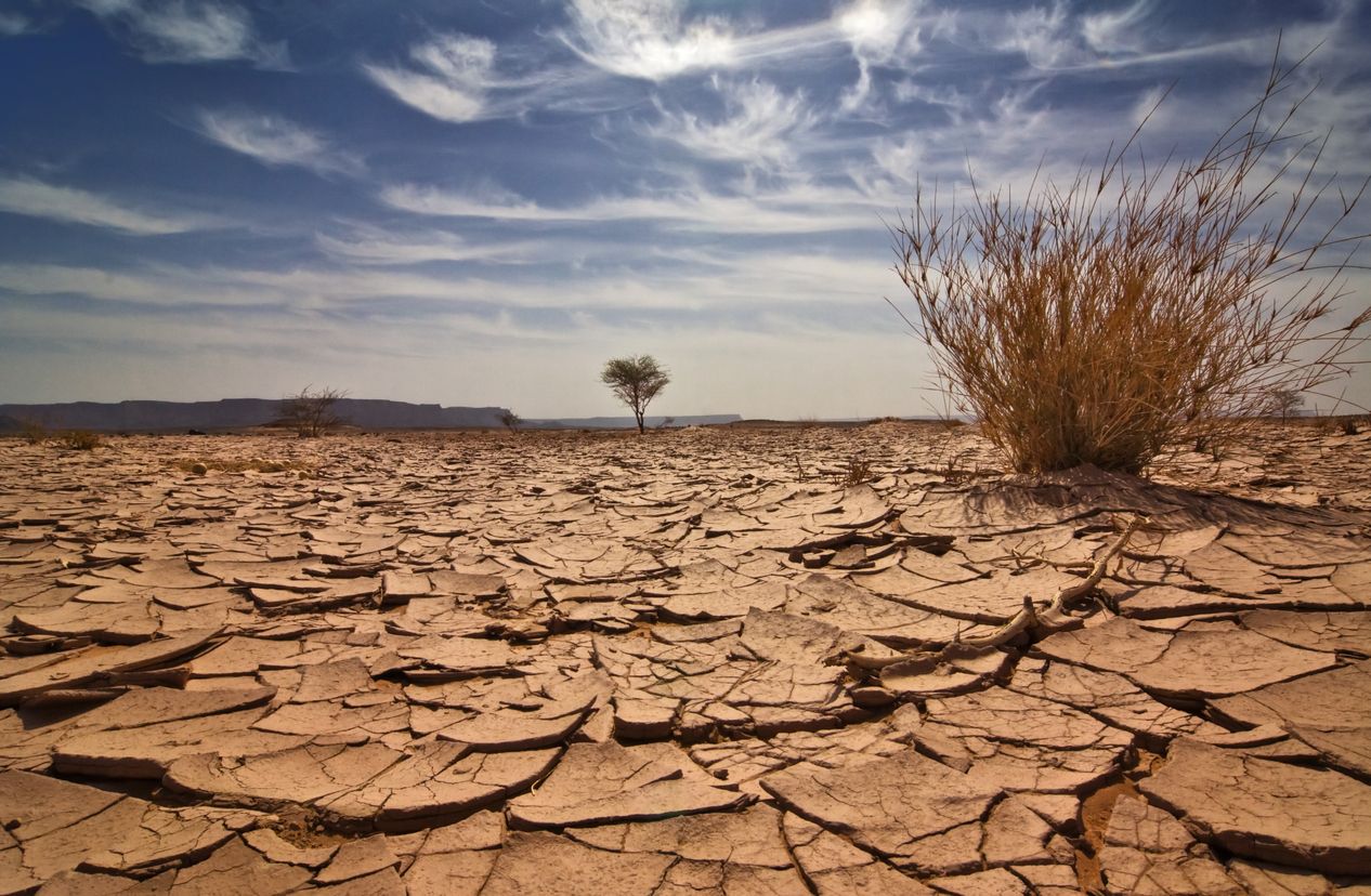 Image of dry, cracked desert dirt