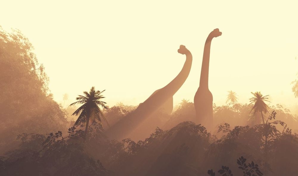 Illustration of Brachiosaurs