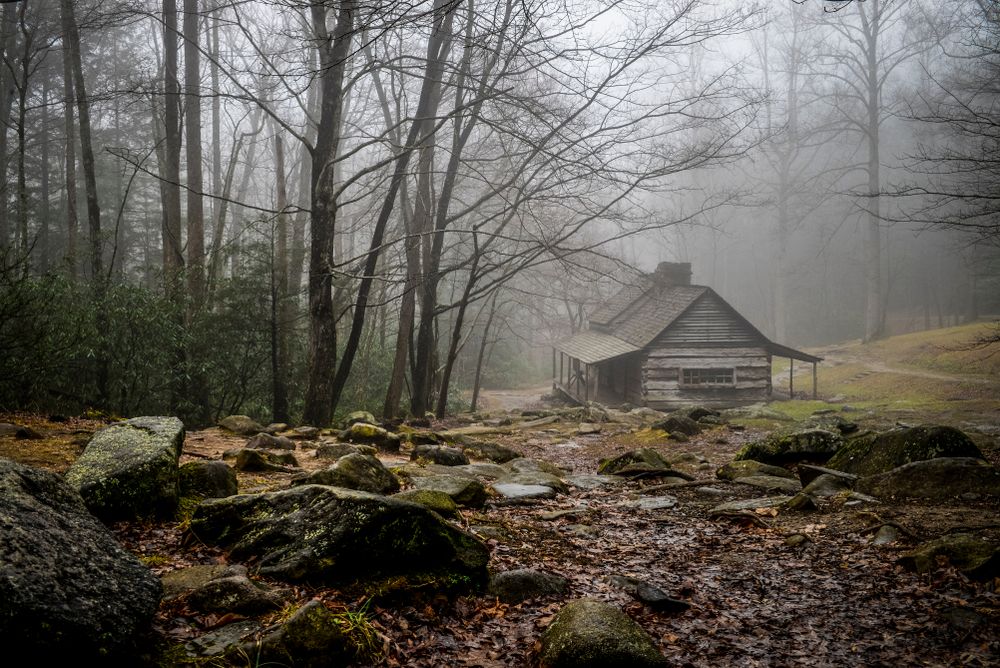 Old log cabin in foggy, mysterious woods surrounded by trees and rocks