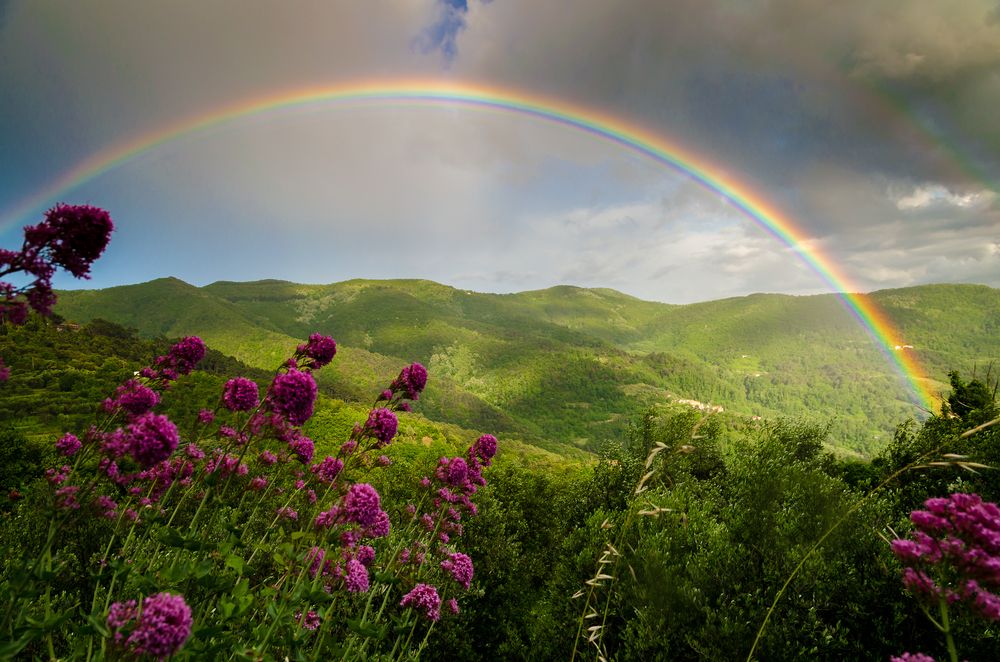 Rainbows (Ages 6-8) - Nature Supply Co