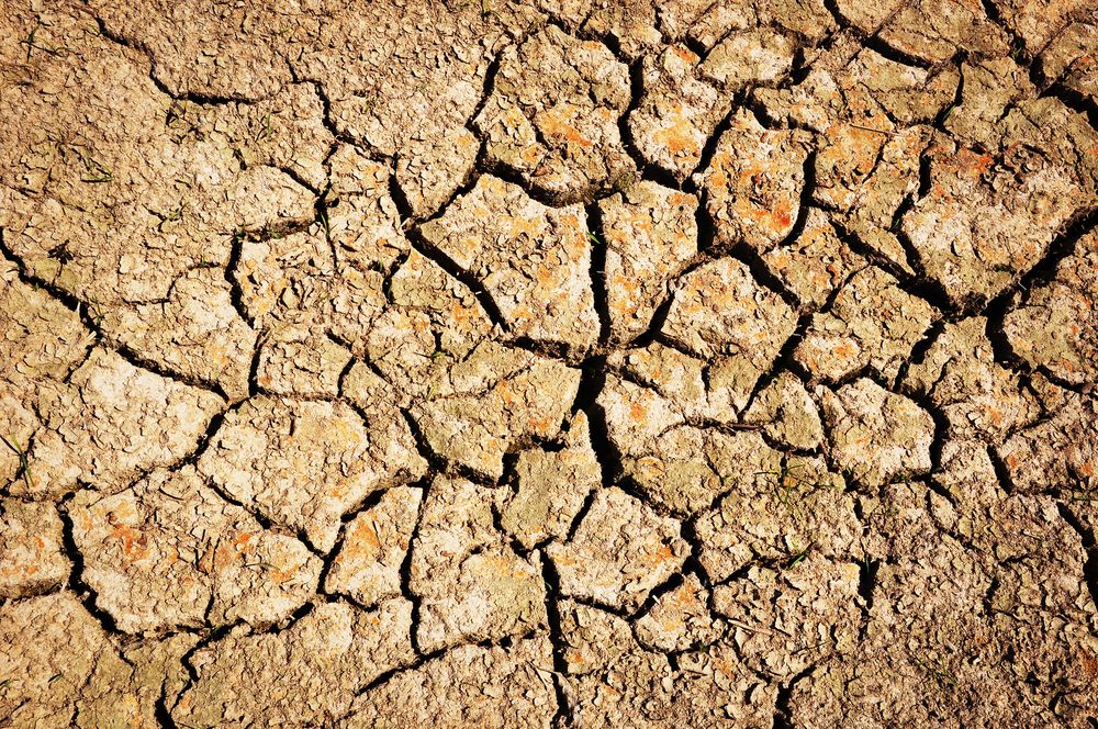 Aerial view of dry dirt patch with deep grooves and cracks in the earth
