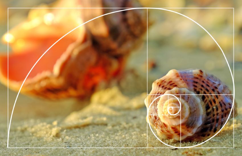 Golden ration concept with Seashell on beach.