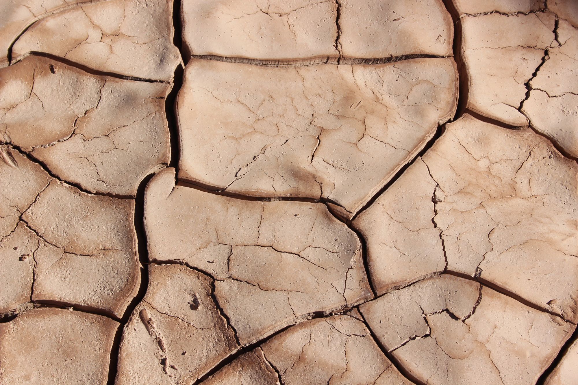 Cracked desert floor from the heat
