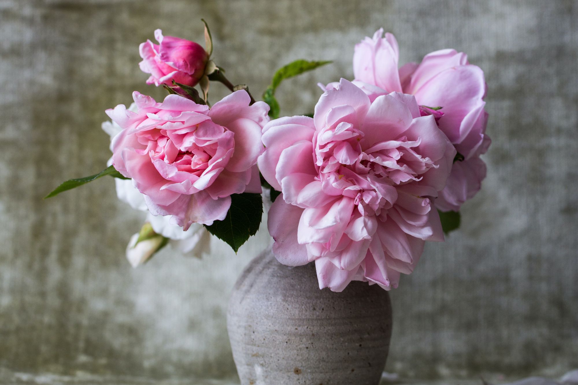 A bouquet of pink flowers in a vase