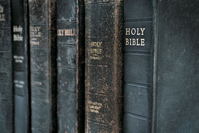 Copies of the Holy Bible lined up on a shelf.
