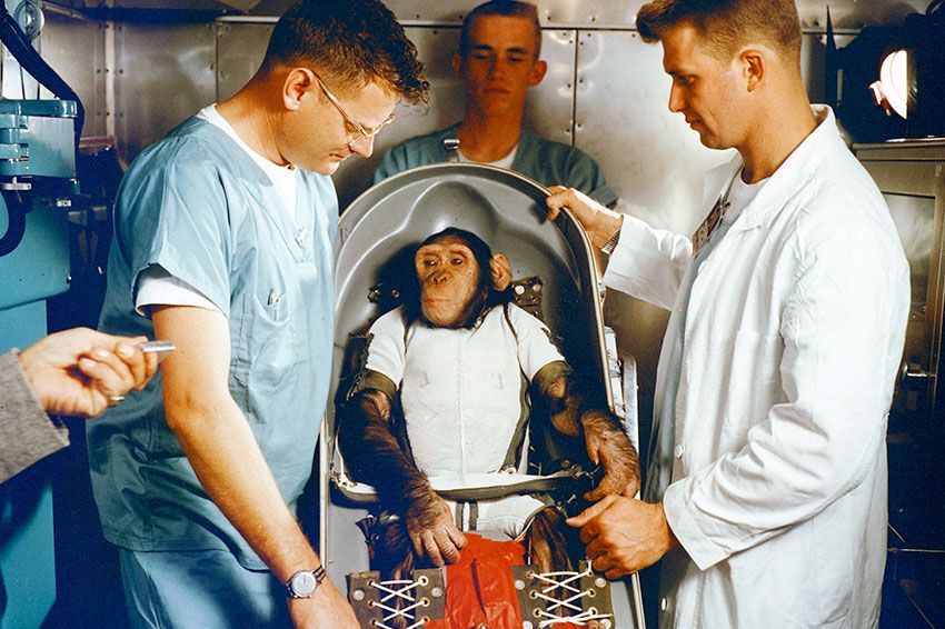 Ham the Chimp in in the biopack couch for the MR-2 suborbital test flight, surrounded by NASA workers.
