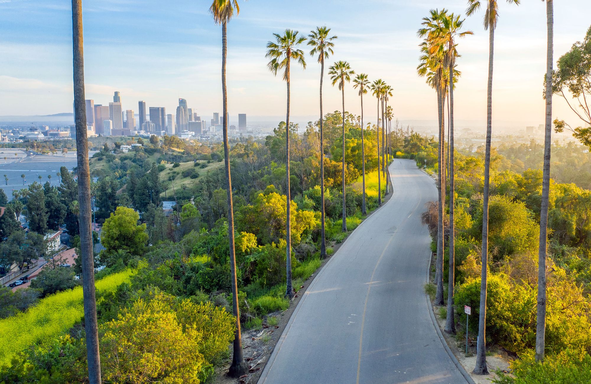 A palm tree lined road with downtown Los Angeles in the distance.